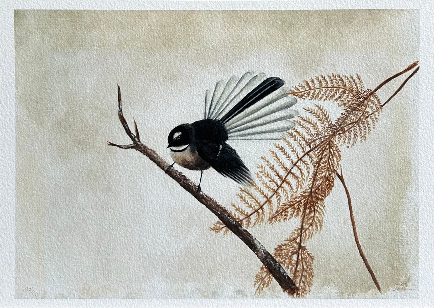 FANTAIL