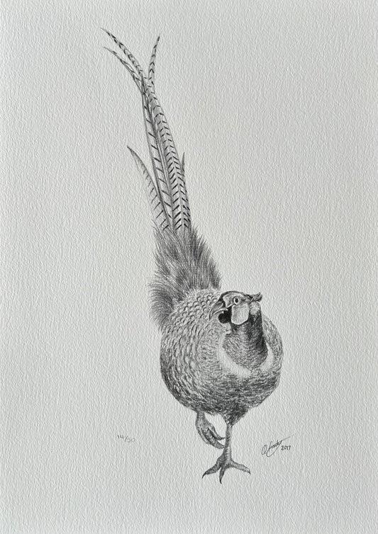 PHEASANT