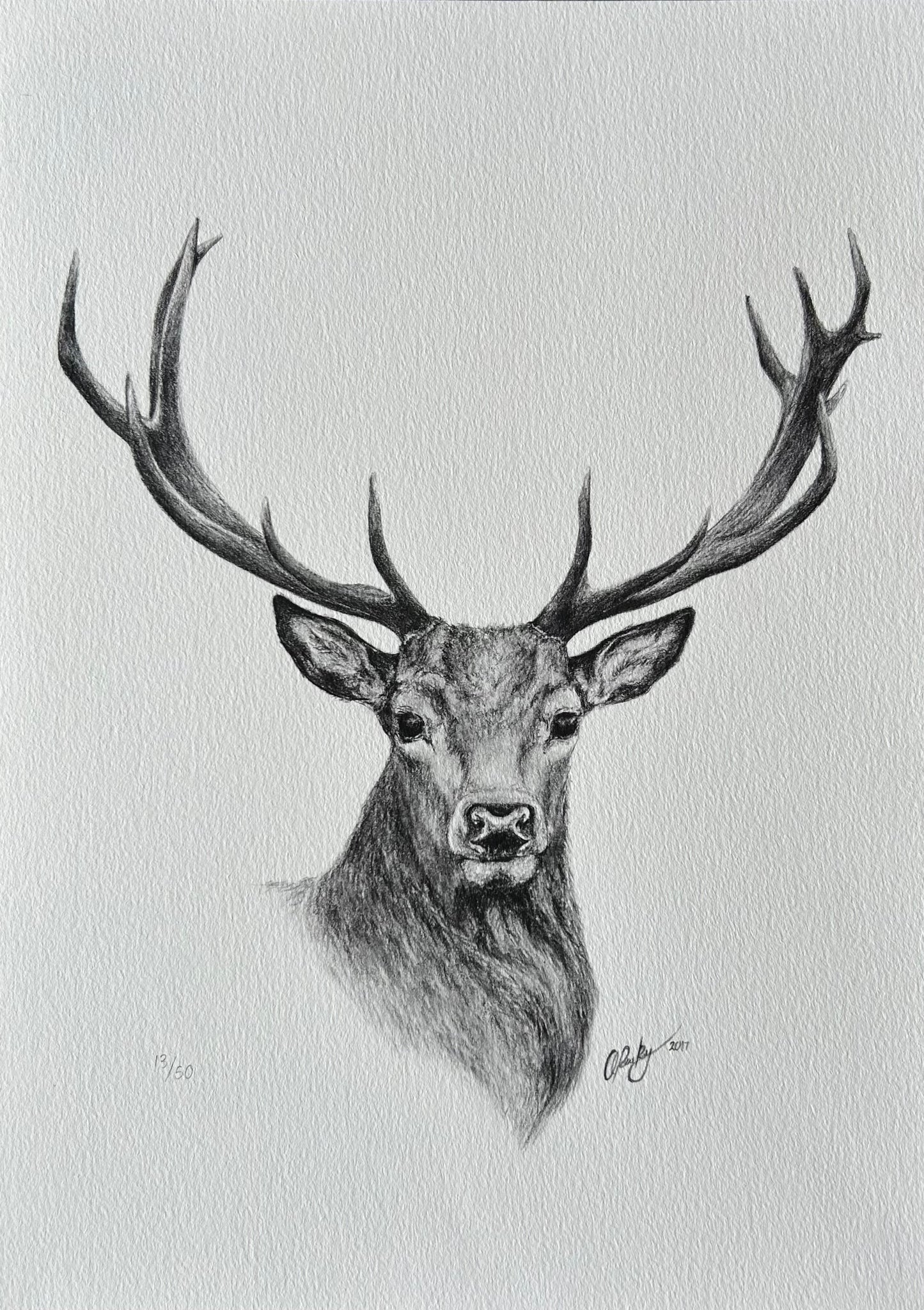 STAG