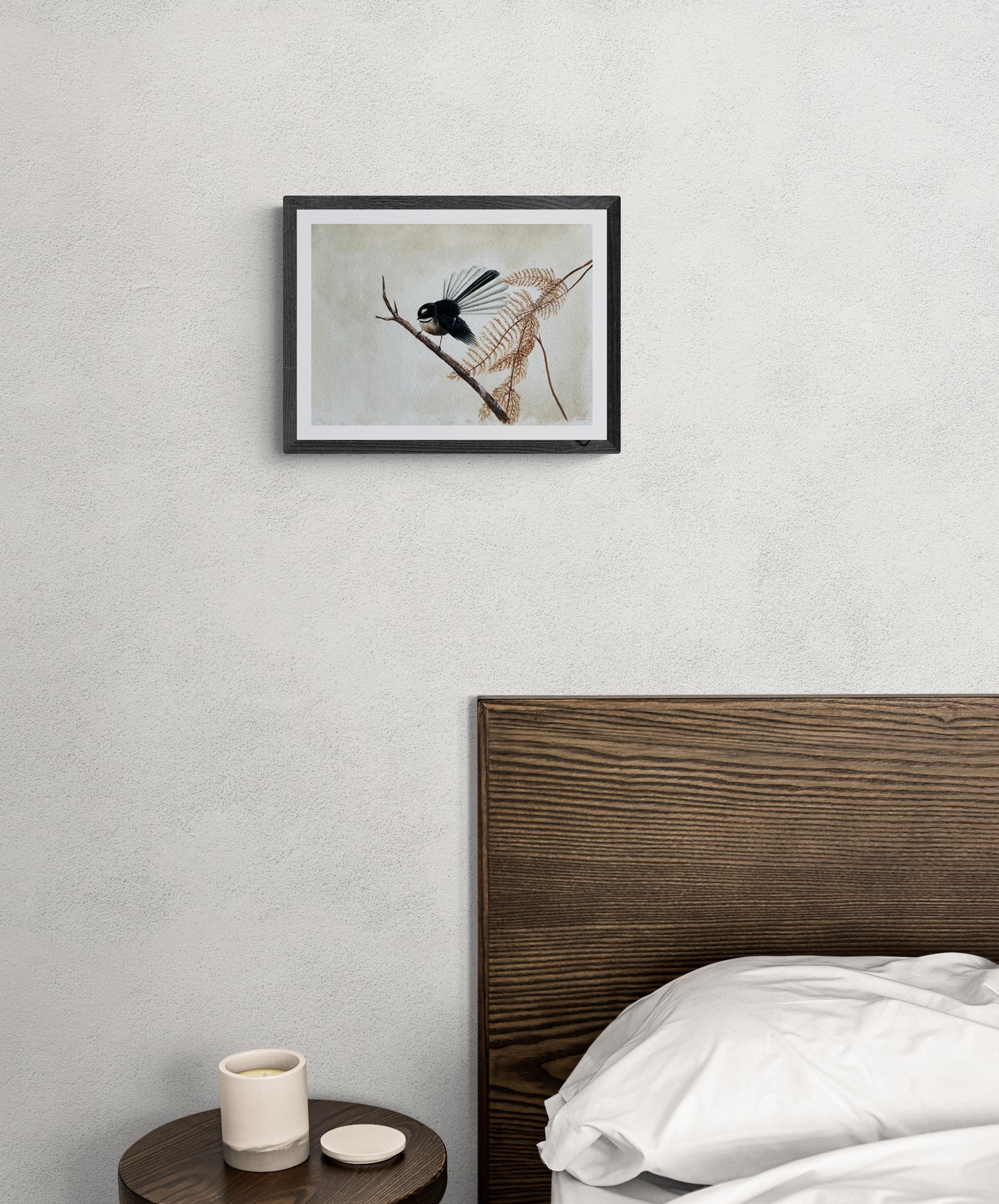 FANTAIL