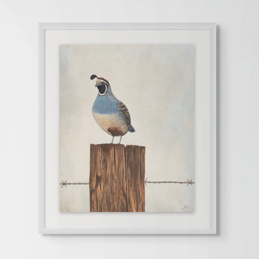 QUAIL