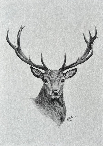 STAG