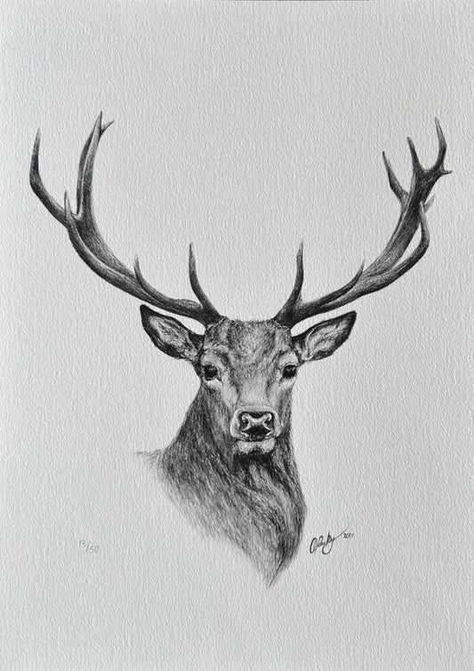 STAG